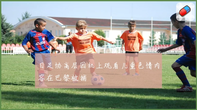 日足协高层因机上观看儿童色情内容在巴黎被捕