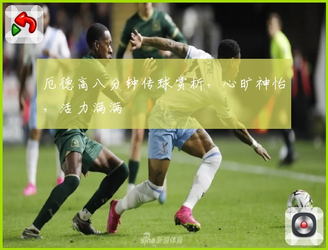 厄德高八分钟传球赏析,心旷神怡,活力满满