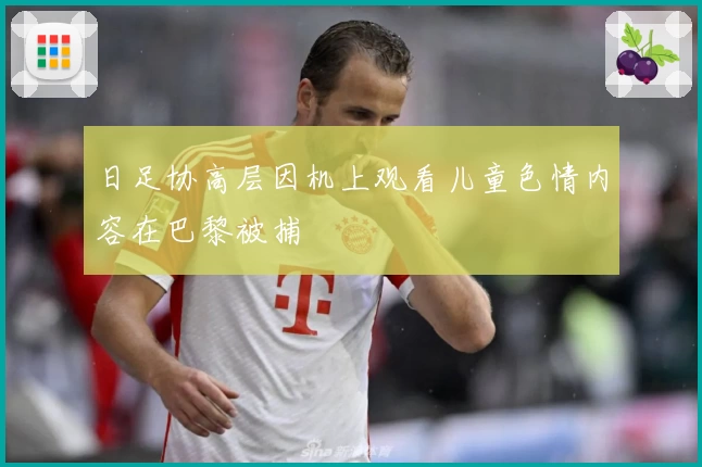 日足协高层因机上观看儿童色情内容在巴黎被捕