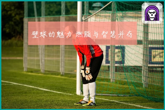 壁球的魅力 燃脂与智慧并存