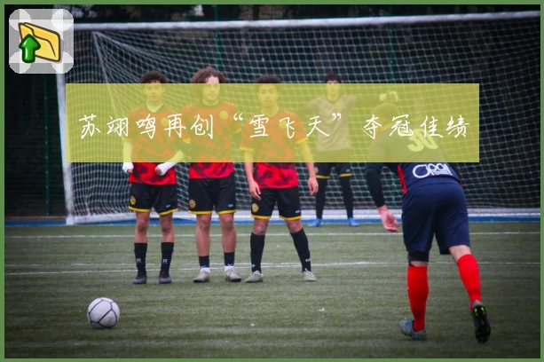 苏翊鸣再创“雪飞天”夺冠佳绩