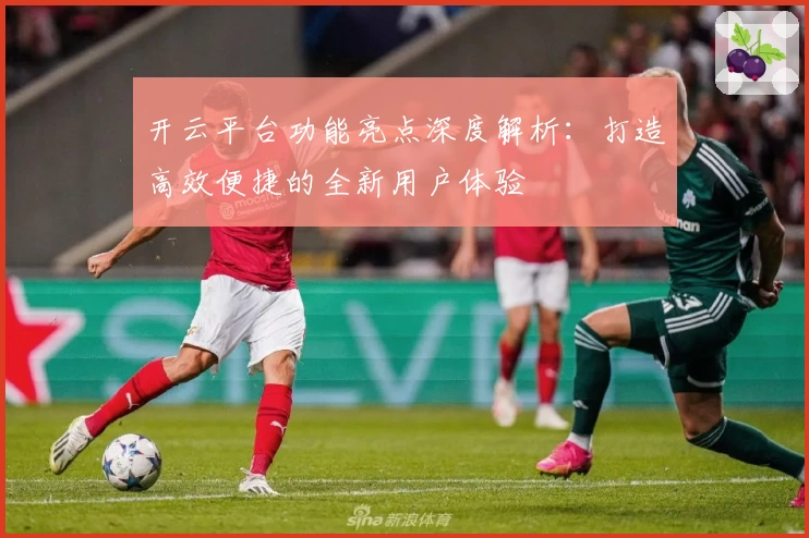 开云平台功能亮点深度解析：打造高效便捷的全新用户体验