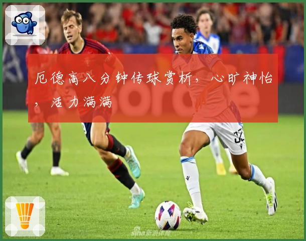 厄德高八分钟传球赏析，心旷神怡，活力满满